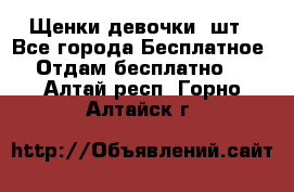 Щенки девочки 4шт - Все города Бесплатное » Отдам бесплатно   . Алтай респ.,Горно-Алтайск г.